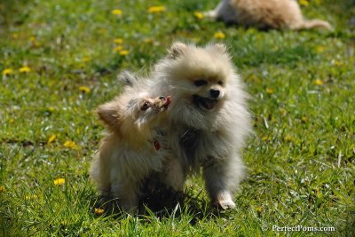 May9_08_024.jpg