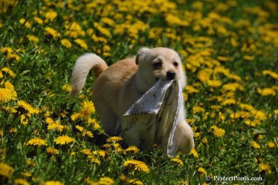 May9_08_026.jpg