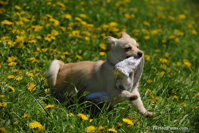 May9_08_028.jpg