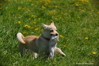 May9_08_030.jpg