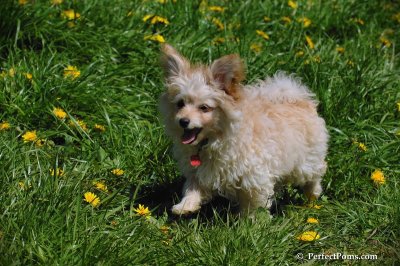 May9_08_039.JPG