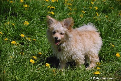 May9_08_040.JPG