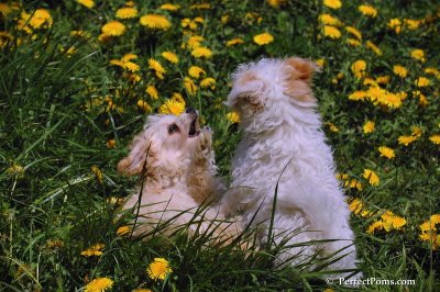 May9_08_042.JPG