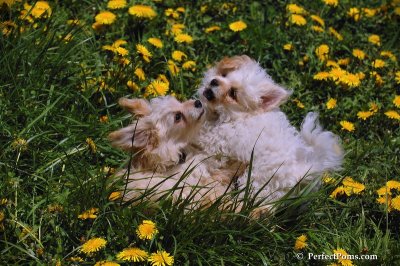 May9_08_044.JPG