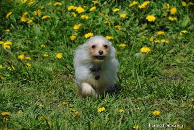 May9_08_045.jpg