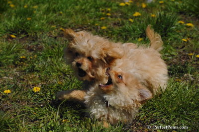 May9_08_046.JPG
