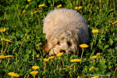 May10_08_442.JPG