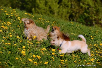 May10_08_462.JPG