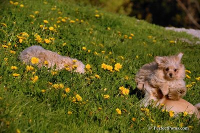 May10_08_468.JPG