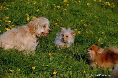 May10_08_473.JPG