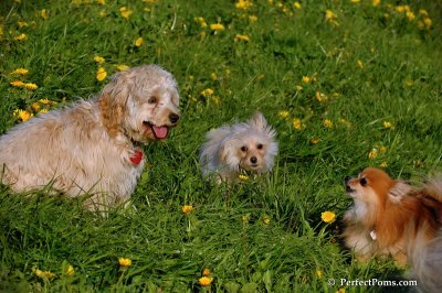 May10_08_475.JPG