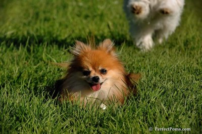 May10_08_168.JPG
