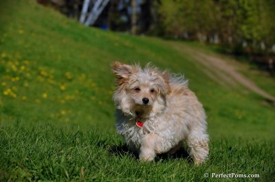 May10_08_197.JPG
