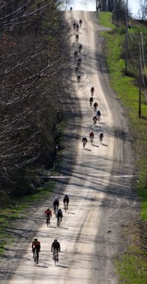 DSC_3930.jpg