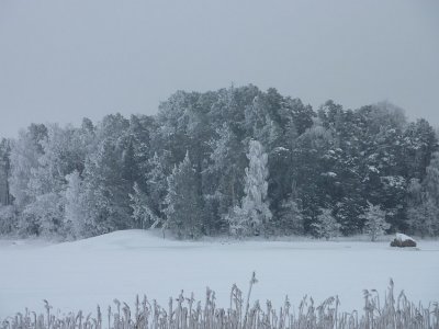 g3/12/69812/3/120955032.OihIRksU.jpg