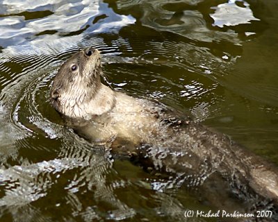 Zoo 09626.jpg