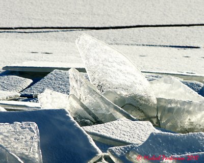 Ice Is Nice 03432 copy.jpg