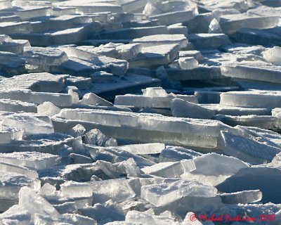 Ice Is Nice 03443 copy.jpg