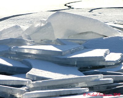Ice Is Nice 03444 copy.jpg