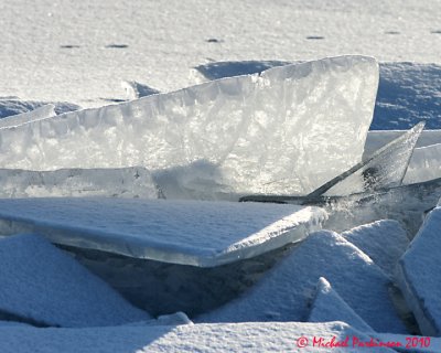 Ice Is Nice 03445 copy.jpg