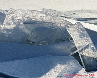 Ice Is Nice 03446 copy.jpg