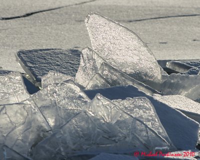 Ice Is Nice 03450 copy.jpg