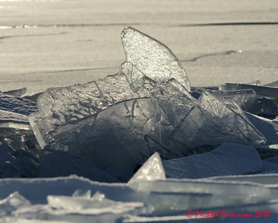 Ice Is Nice 03455 copy.jpg