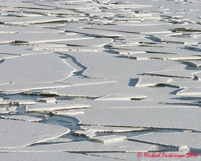 Ice Is Nice 03456 copy.jpg