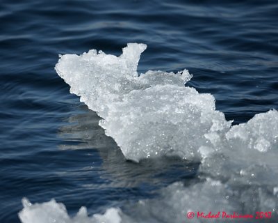 Ice Is Nice 01265 copy.jpg