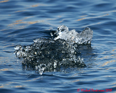 Ice Is Nice 01270 copy.jpg