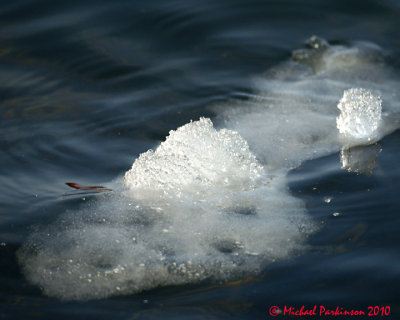 Ice Is Nice 01291 copy.jpg