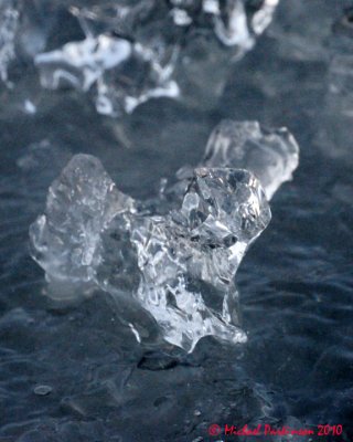 Ice Is Nice 01313 copy.jpg