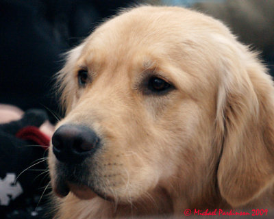 g3/12/720312/3/122824538.rYAnq39h.jpg