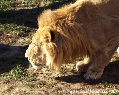 Zoo 09658.JPG