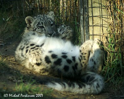 Zoo 09836.JPG