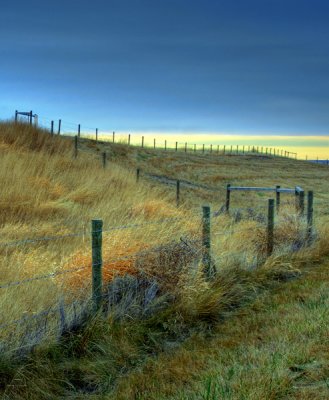 Fence at sunrise