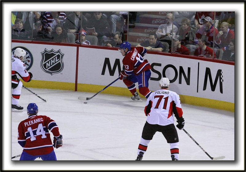 MIKE CAMMALLERI    _MG_8700