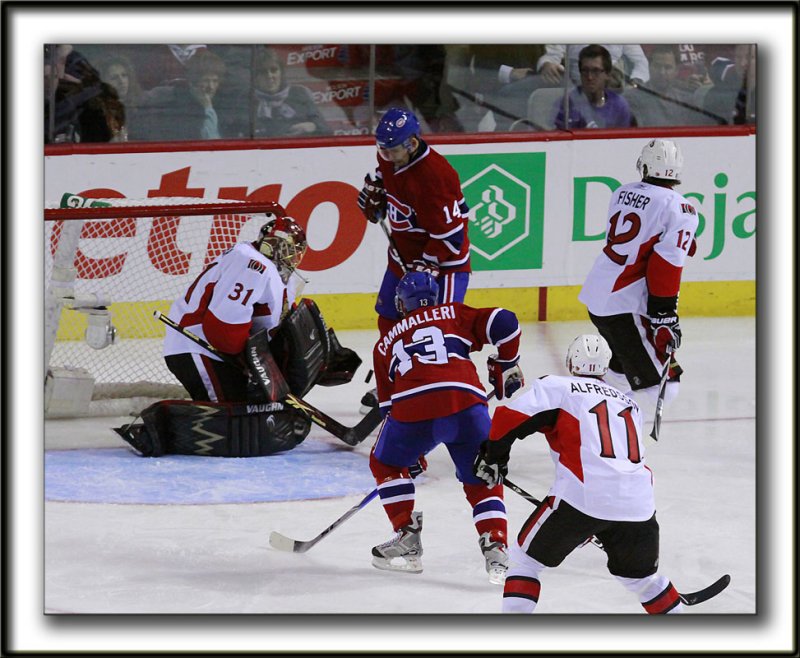 MIKE CAMMALLERI    _MG_8994