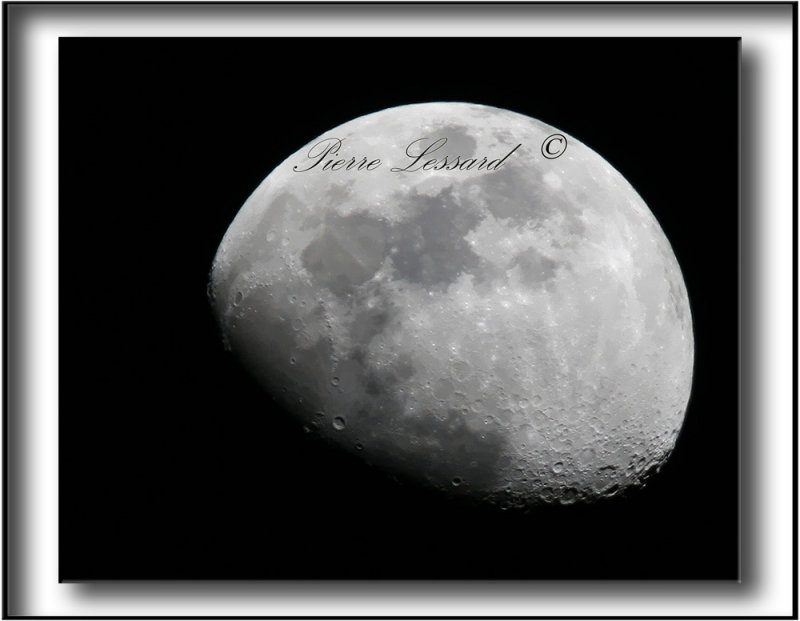_MG_2632aa .jpg - LUNE