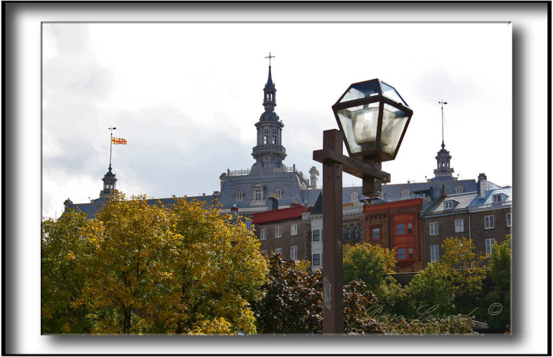 IMG_5595a .jpg
