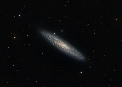 The Sculptor Galaxy (NGC 253)