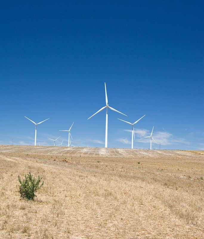 Wind farm 7.jpg