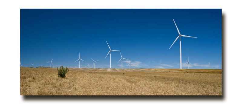 Wind farm 19.jpg