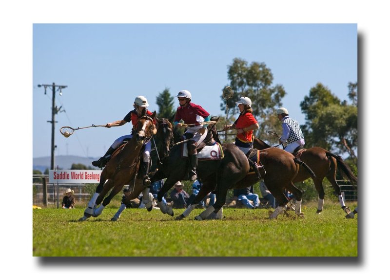 Polocross 134.jpg