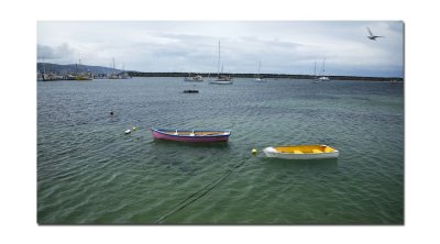 Two boats in Apollo Bay.jpg