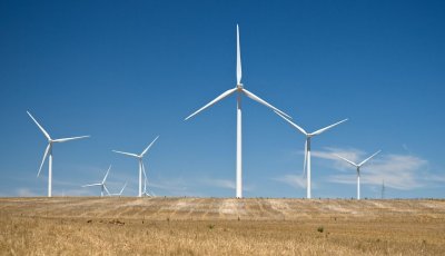 Wind farm 5.jpg