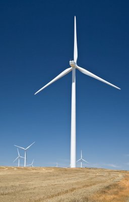 Wind farm 14.jpg
