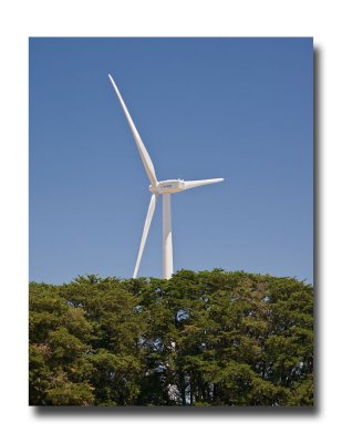Wind farm 24.jpg