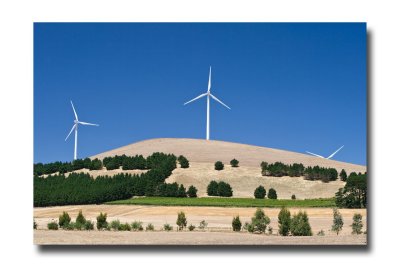 Wind farm 22.jpg