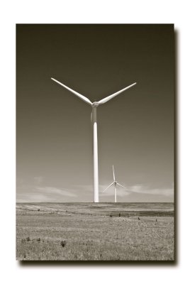 Wind farm 26.jpg